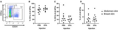 Antigen Uptake After Intradermal Microinjection Depends on Antigen Nature and Formulation, but Not on Injection Depth